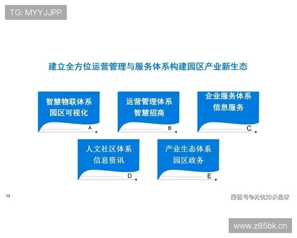 数字化转型时代下的e企业家创新模式与成功路径探索