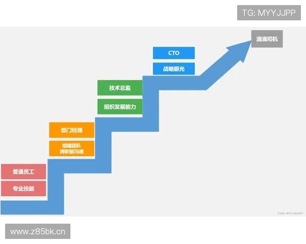 全面呈现当代卓越企业家成长轨迹与核心竞争力塑造路径全面解读集